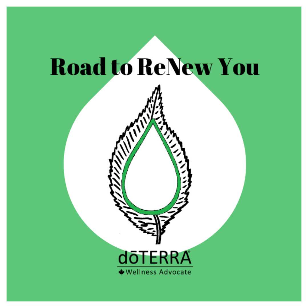 Road to renew - CCSYR HER2024
